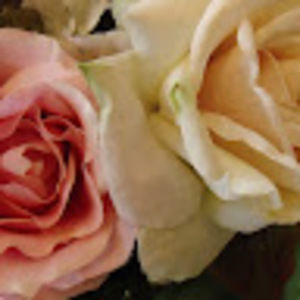 Meet your Posher, Sharon